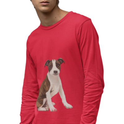 BLUZA BOSTON DOG 9